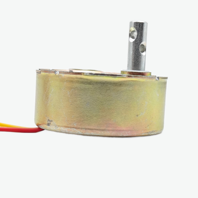 AC220/240V 4W 49TYD-500 Permanent Magnet Synchronous Motor 5/6 RPM