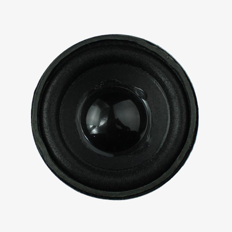 Speaker