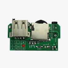 Load image into Gallery viewer, DIY Bluetooth Speaker Kit