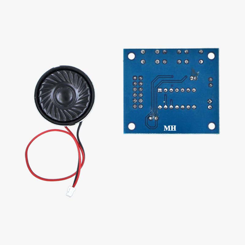 Voice Recorder Module with Speaker