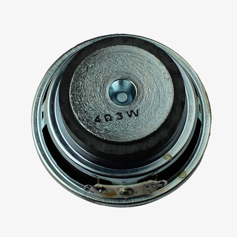 Speaker