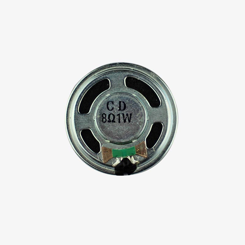 1W Speaker