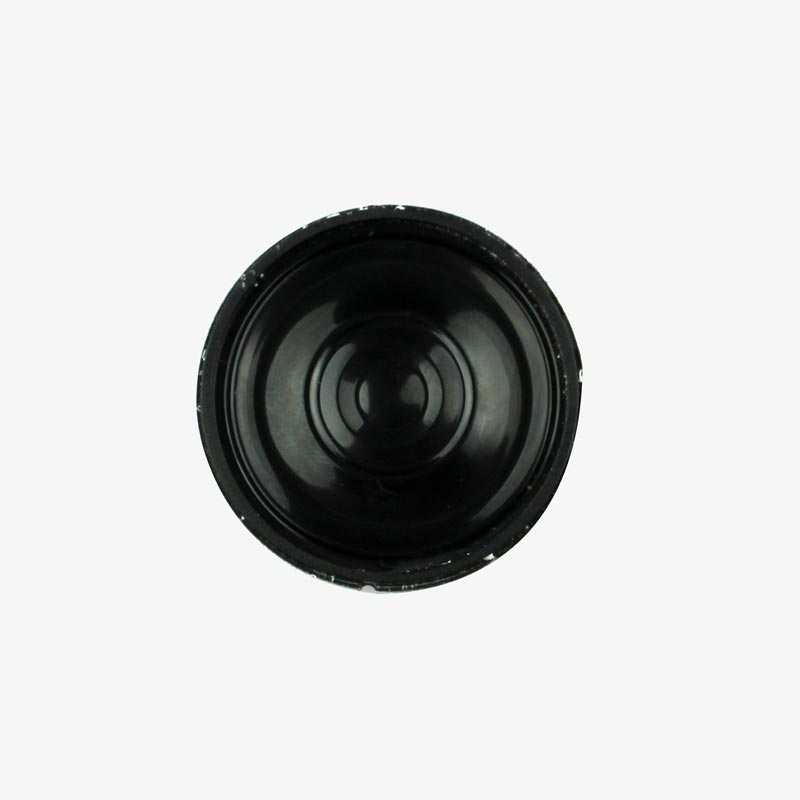 1W Speaker