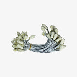 White 9mm 12v 5 inch Pixel Led Serial Decoration Light - 5 meters - 50 Leds