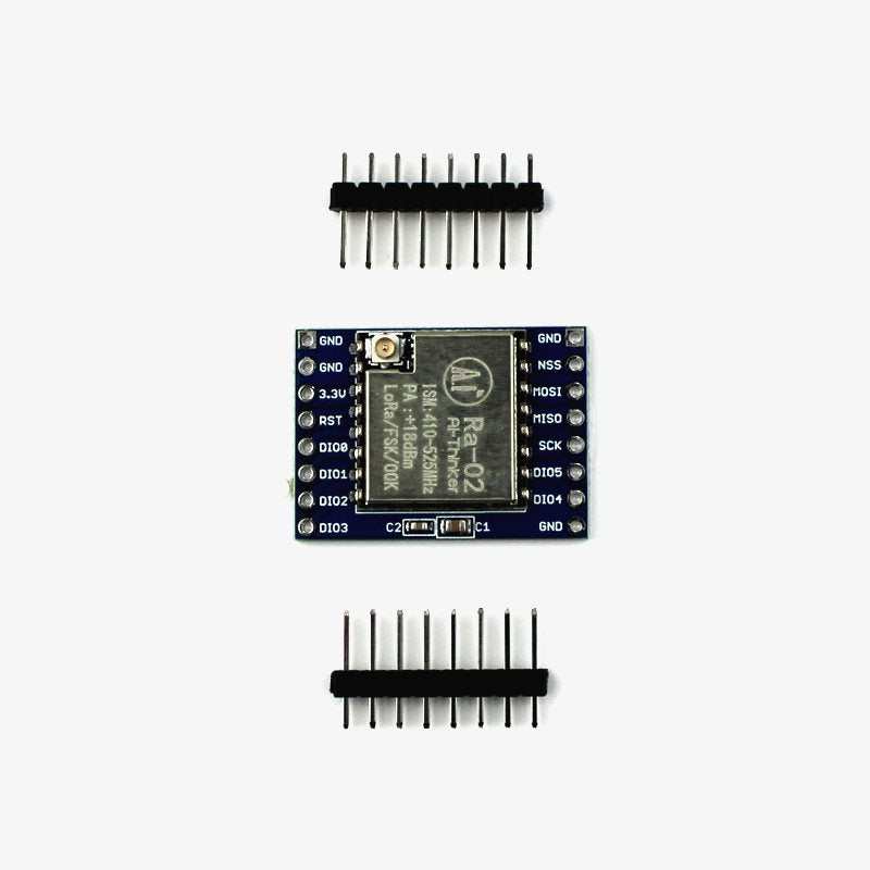 Ai Thinker Module