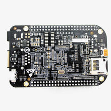 Load image into Gallery viewer, beagle bone - back side