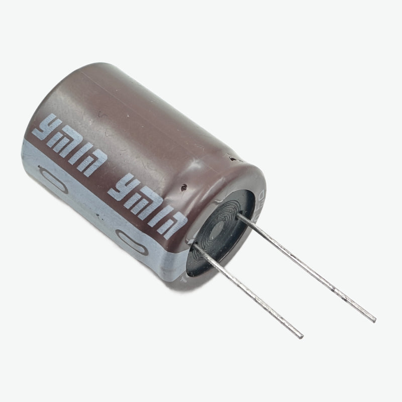100uF 450V Radial Electrolytic Capacitor