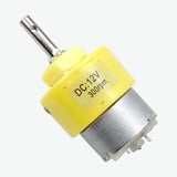 12V 300RPM Geared DC Motor