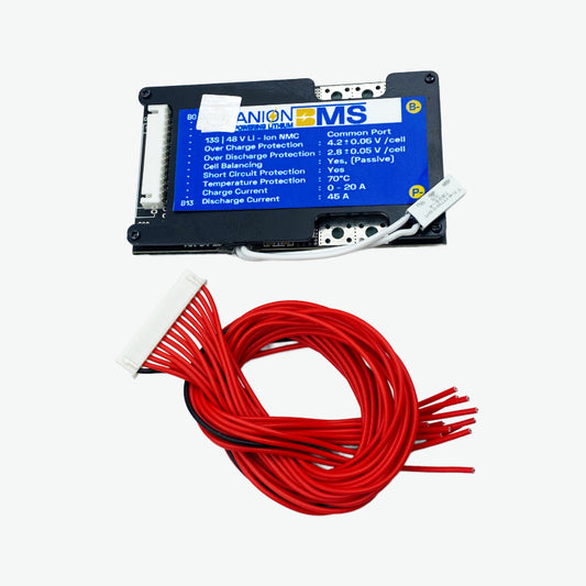 13S 48V 45A BMS for Lithium Ion NMC Battery With Cell Balancing (Common Port)