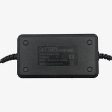 Load image into Gallery viewer, 14.6V 1.5A Agriculture Sprayer Battery Charger for 12.8V LFP Battery with Power Cable