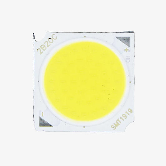 25W White COB Light