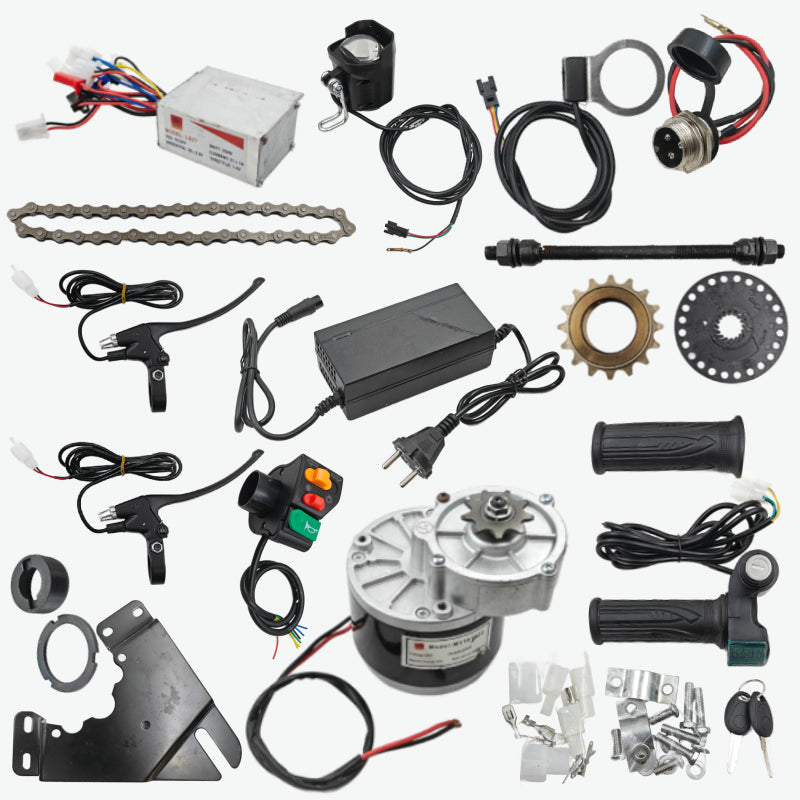 24V 250W Electric Bike Motor Kit with Charger - MY1016Z2