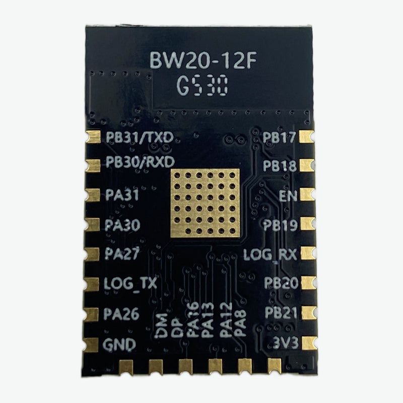 Ai-Thinker BW20-12F WiFi + BLE Module