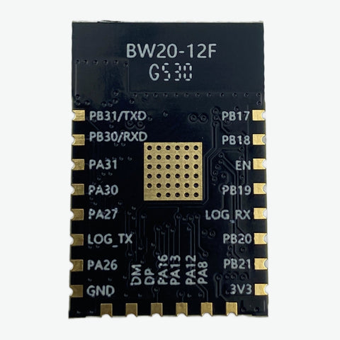 Ai-Thinker BW20-12F WiFi + BLE Module