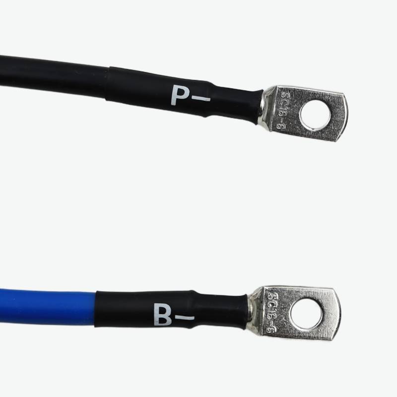 DALY LiFePO4 8S 24V 100A Waterproof BMS