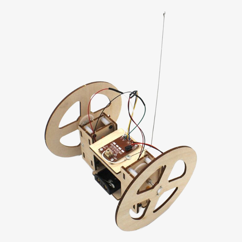 2 Wheeler Remote Controlled Car DIY Kit