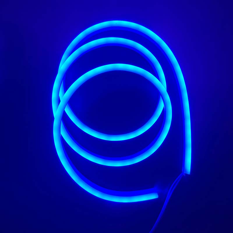 Blue Color Neon Flexible Strip Light 