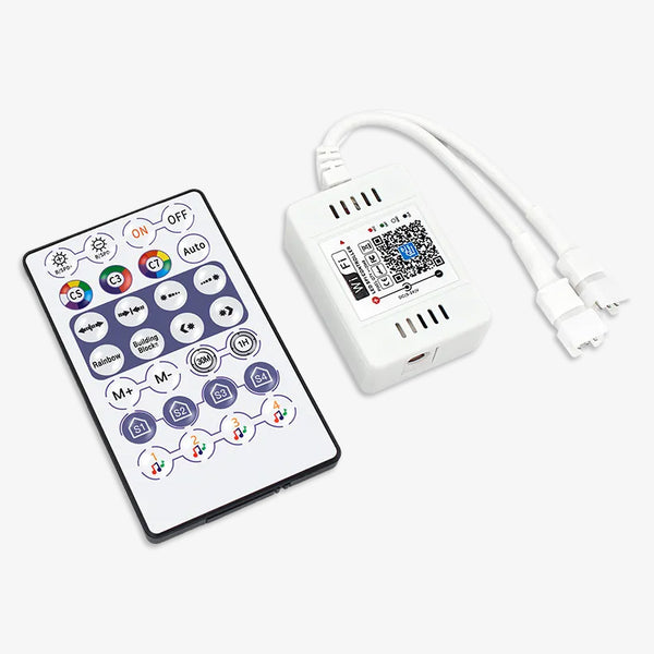 WiFi SPI LED Controller with RF Remote Control - 2 Output ...