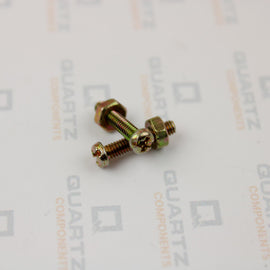M2 15mm Screw and Nut
