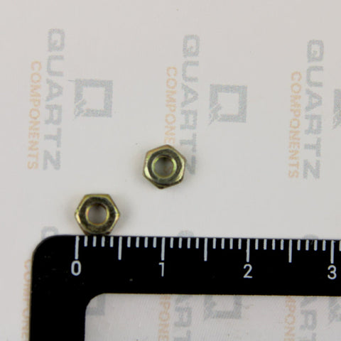 M2 (2mm) Hex Nut