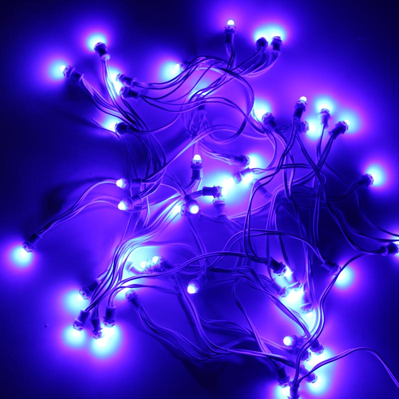 Blue 9mm 12v 5 inch Pixel Led Serial Decoration Light - 5 meters - 50 ...