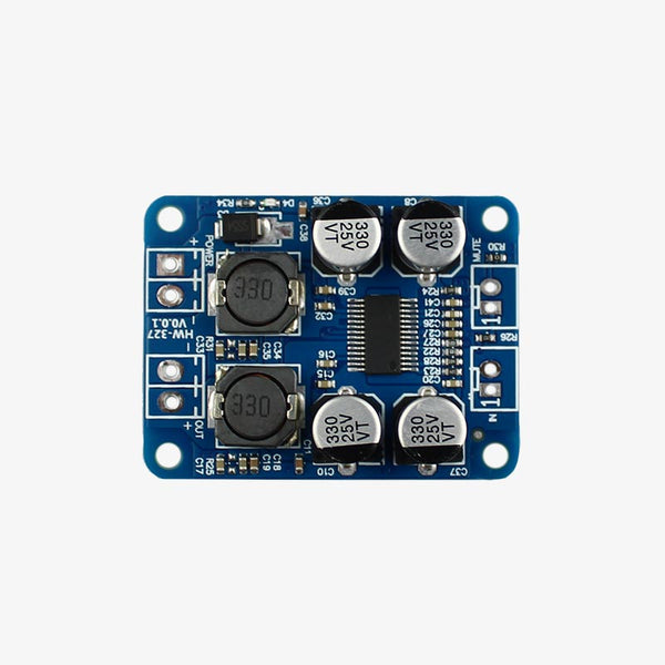 RAKSTORE TPA3118 Versterker Module – 2 Stuks – 60W Mono – DC 8-24V – Geschikt Voor 4-8Ω Luidsprekers – Compact En Krachtig