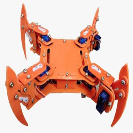 Acrylic kit in the shape of Spider with 4 legs.-picture-38
